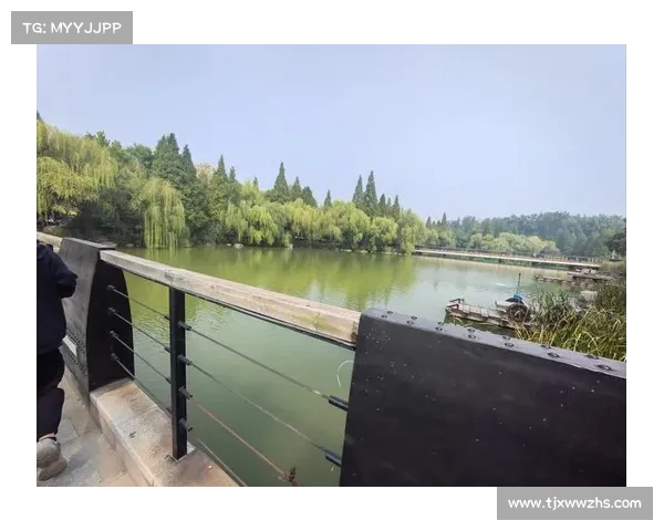 冬日湖畔的寂静之美 一次心灵深处的净化与自我发现 冬日湖畔的寂静之美 一次心灵深处的净化与自我发现