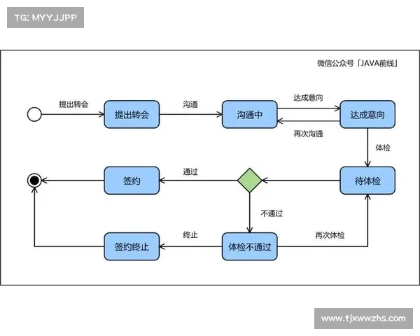 如何通过多维度分析运动员财富差异及其影响因素