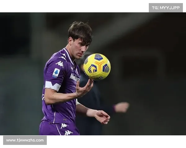 弗拉霍维奇重返巅峰的四大关键因素解析 弗拉霍维奇重返巅峰的四大关键因素解析