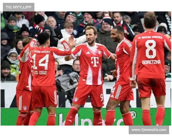 德甲新霸主崛起：挑战拜仁慕尼黑的终极力量